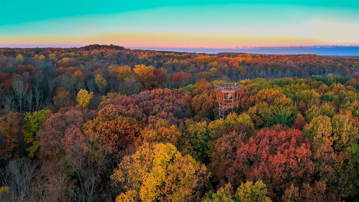 Holden Arboretum | TCLF